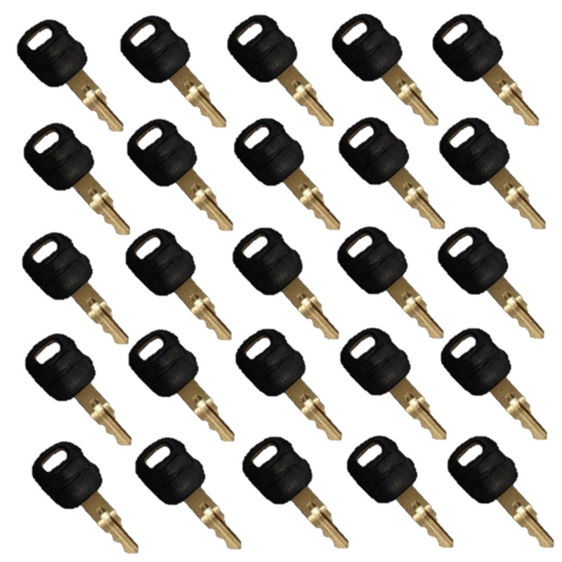 Qty. 25: Key(s) - Old Style Fits ASV Replaces 0310-072