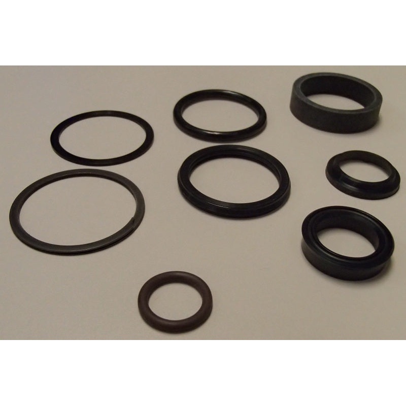 Qty 2: Cylinder Seal Kit Fits Case/International Harvester Replaces D148100