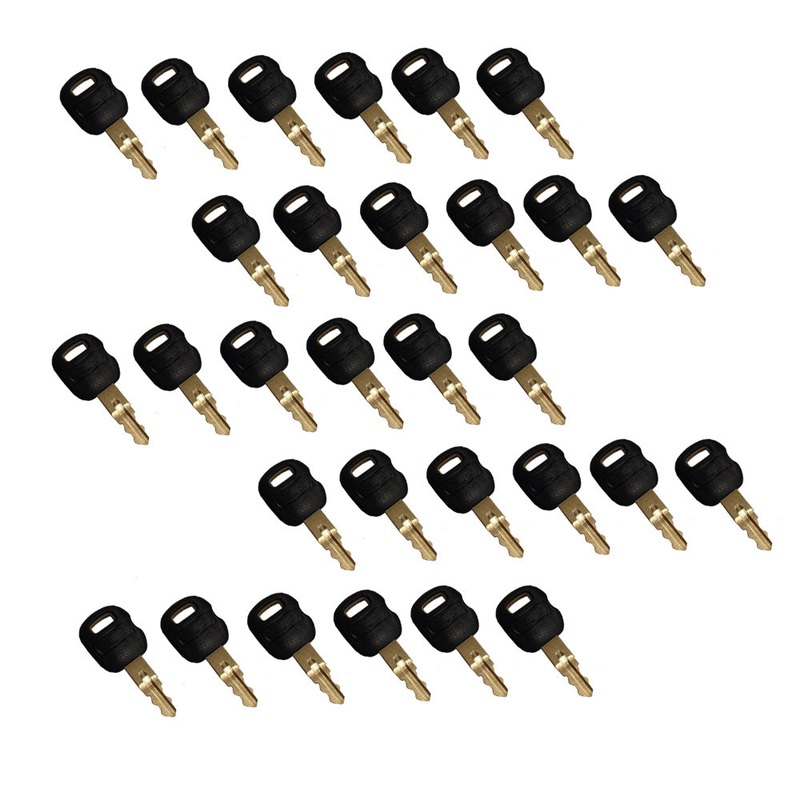 Qty. 30: Key(s) - Old Style Fits ASV Replaces 0310-072