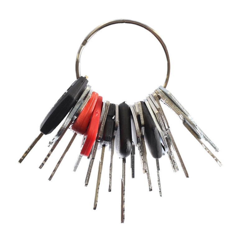 24 pc Heavy Equipment Key Set Fits Case Replaces 150979A1