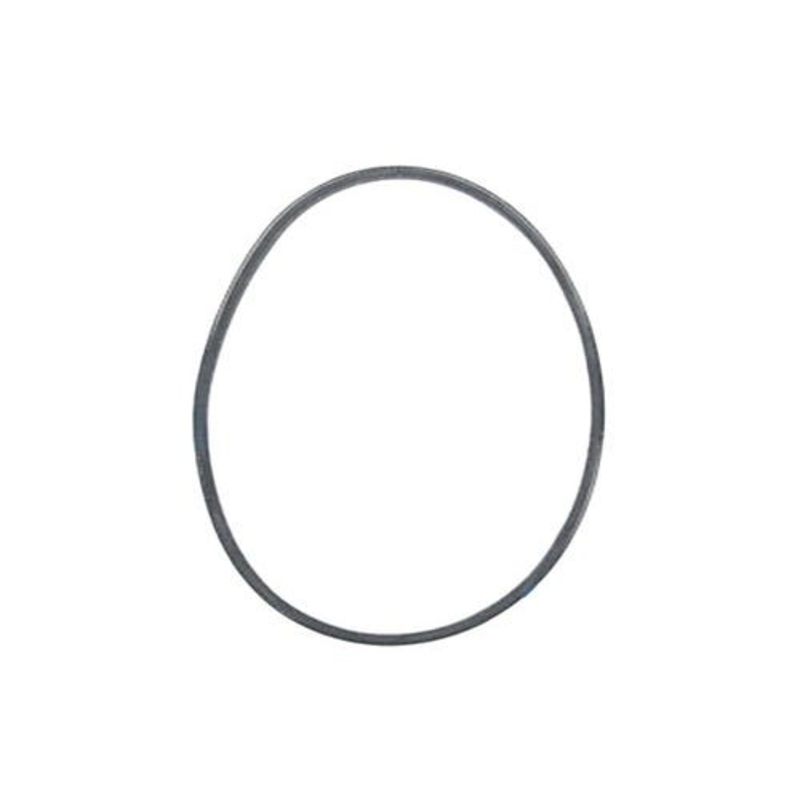 Belt - Motion Drive fits Murray 579932