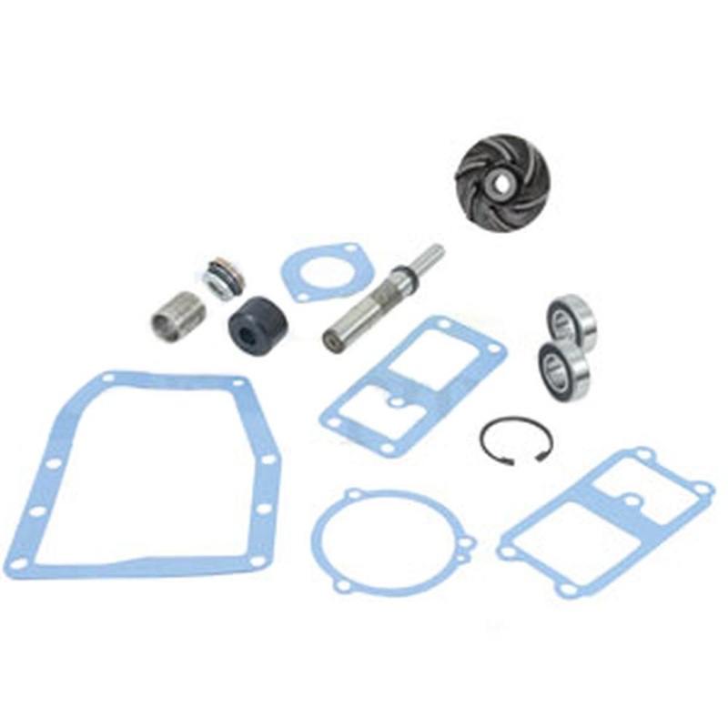 3637446M91 Water Pump Repair Kit Fits Massey Ferguson 1080 1085 285 295